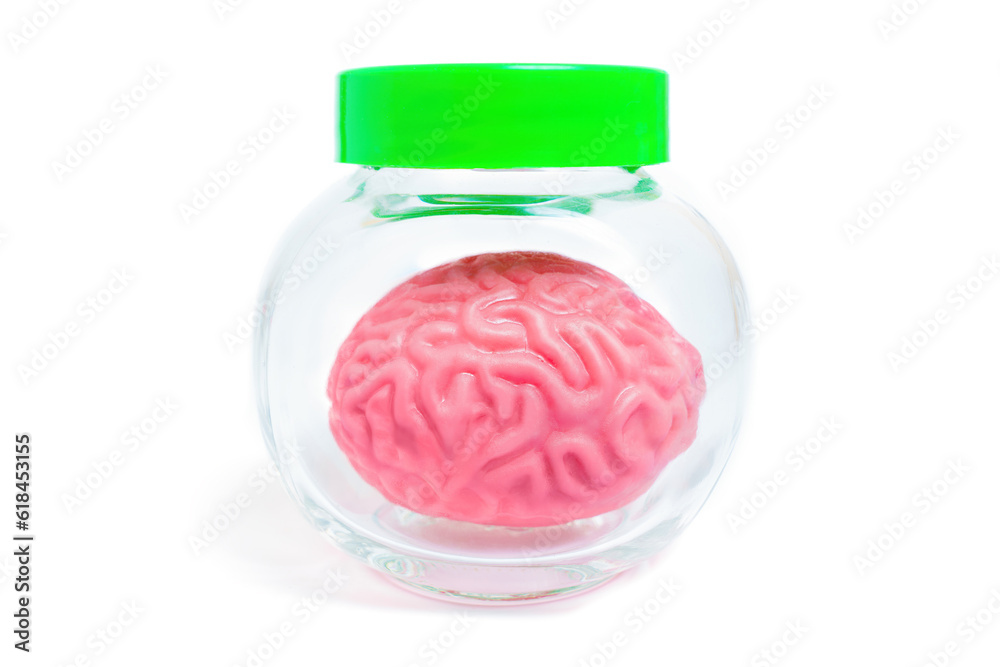 Human Brain in a Jar Isolated on White