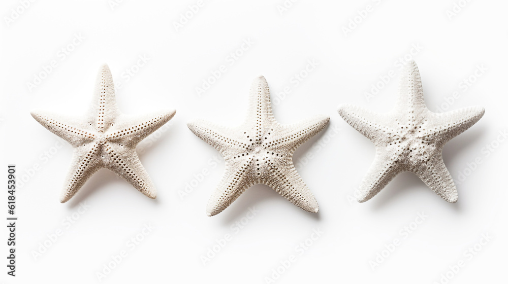 3 white starfishes, white background.
Generative AI image. 3 white starfishes, white background.
Generative AI image.