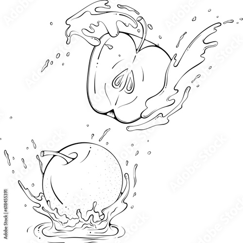 Whole and half apple in juice or water splash. Liquid drops. Vector illustration in hand drawn sketch doodle style. Line art ingredient for fresh juice isolated on white. Close up fruit coloring book