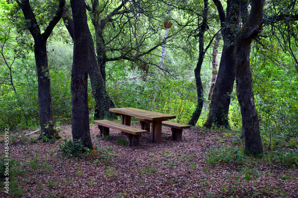 Recreational space with wooden table in a forest Recreational space with wooden table in a forest