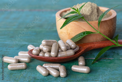 Andrographis Paniculata herbal capsules in wooden spoon.