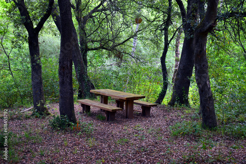 Recreational space with wooden table in a forest
