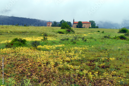 Foggy landscape of the town...
