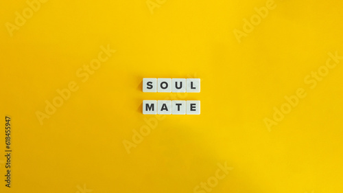 Fotografie Soul Mate Term and Concept Image.