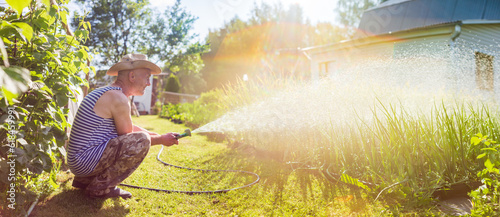 Farmer with garden hose and gun nozzle watering vegetable plants in summer. Gardening concept. Agriculture plants growing in bed row