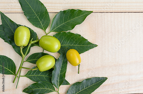 Neem green leaf and neem fruit on wooden table. Neem oil is moisturizing oil and contains various compounds that have insecticidal and medicinal