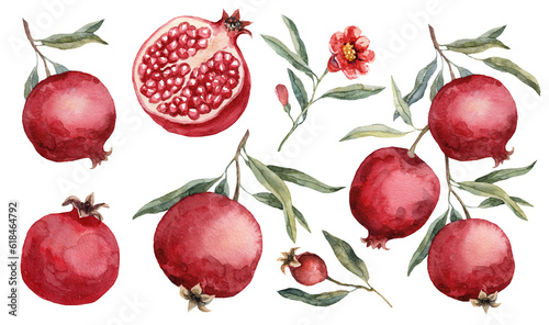 Bild auf Leinwand Pomegranate and pomegranate flower illustration set - illustration