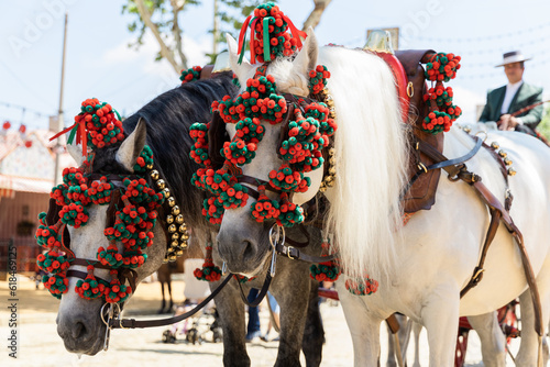 Beautiful horses with colorful ornaments participate in the famous April Fair in Seville, Andalusia, Spain