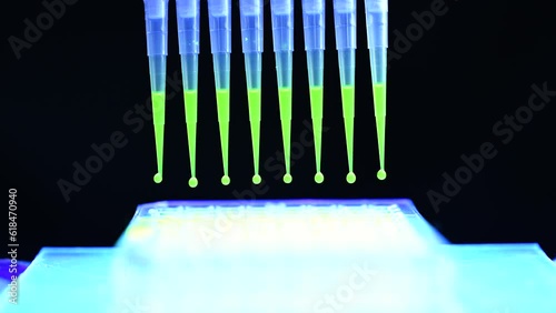 Multi channel pipette withdrawing green fluorophore compound solution for biomedical research with dark background in a chemistry lab. Cell culture and microbiology assay development. photo