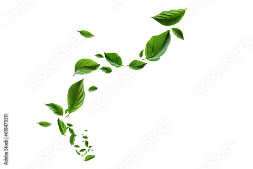 Flying green leaves on transparent free PNG background. Environment and ecology backdrop concept.