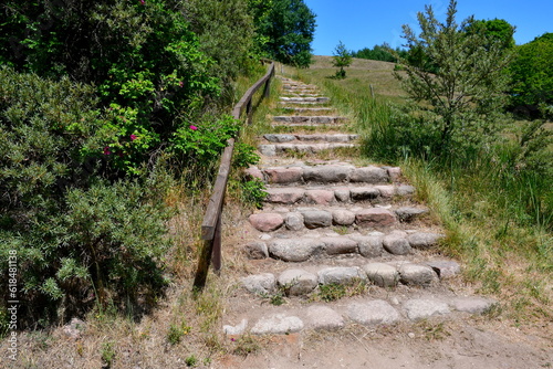 A close up on stairs with their steps made out of rocks  boulders  and stones and with the handle made out of planks  logs  and boards seen next to lush shrubbery and the slope of a tall hill