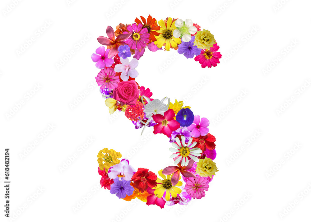 S shape made of various kinds of flowers petals isolated on transparent background, PNG