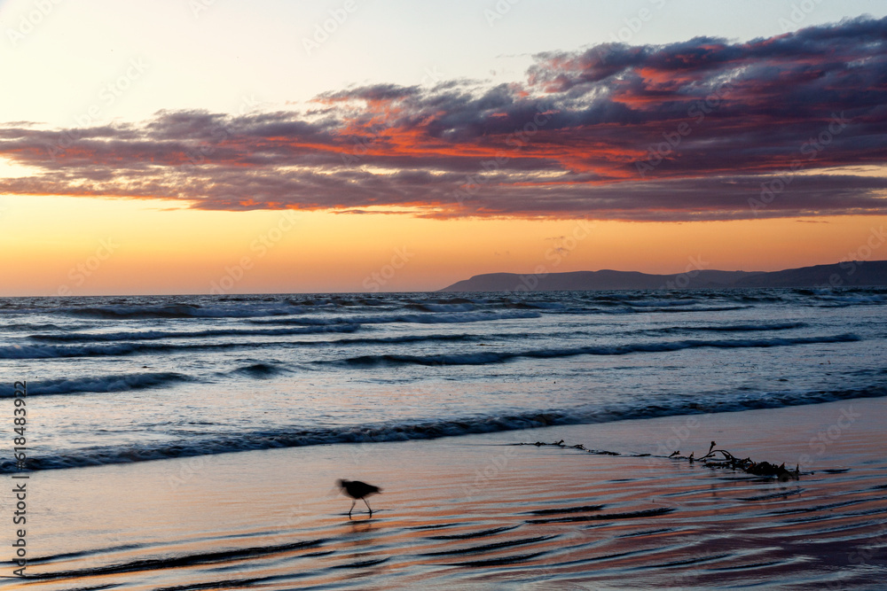 Kleiner Vogel am Strand von Morro Bay in Kalifornien im Sonnenuntergang