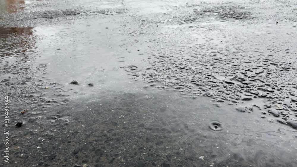 Rain falling on the asphalt, summer heavy rain drops falling into puddles on asphalt Rain falling on the asphalt, summer heavy rain drops falling into puddles on asphalt