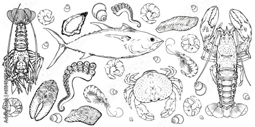 Vector hand drawn seafood set collection. Lobster, salmon, crab, shrimp, octopus, squid, clams, lobster. Engraved art in round border composition. Delicious menu objects isolated on ehite background