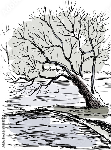 Park landscape with trees and water. Hand drawn illustration.