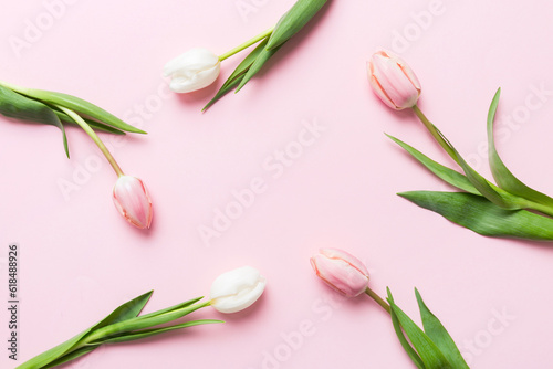 Fototapeta Naklejka Na Ścianę i Meble -  Pink and white tulips on a colored holiday frame Background. Floral spring background for March 8, birthday, mother's day. copy space top view flat lay