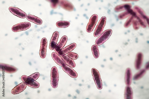 Bild auf Leinwand Aeromonas bacteria, 3D illustration