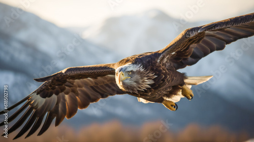 Flight of the Eagle. Generative AI.....