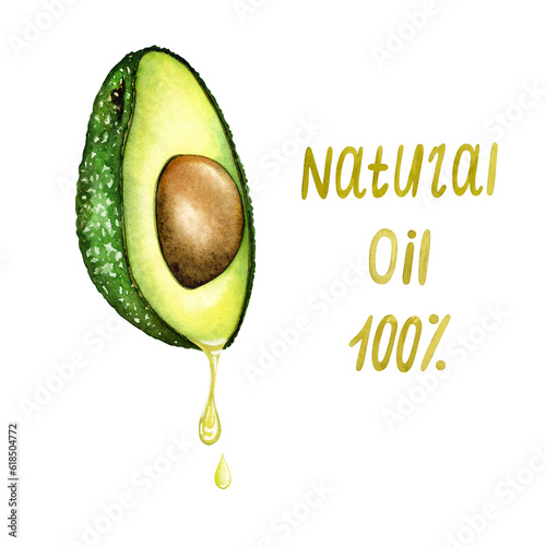 Natural cosmetics for skin care with avocado essential oil. Fresh ripe avocado with jar of avocado oil. Splash of fresh fruit juice. Watercolor hand drawing isolated on white background realistically