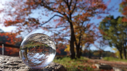 秋の大阪城公園ガラスボール