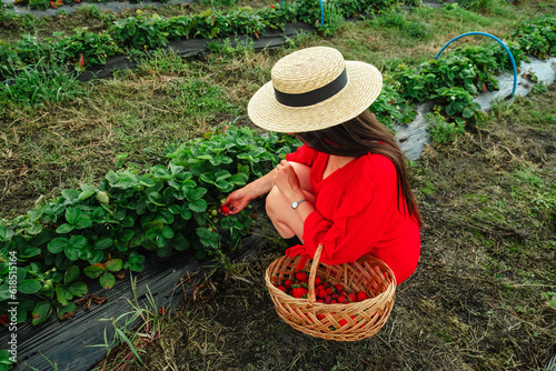 Happy woman at the farm put Strawberries in the Basket