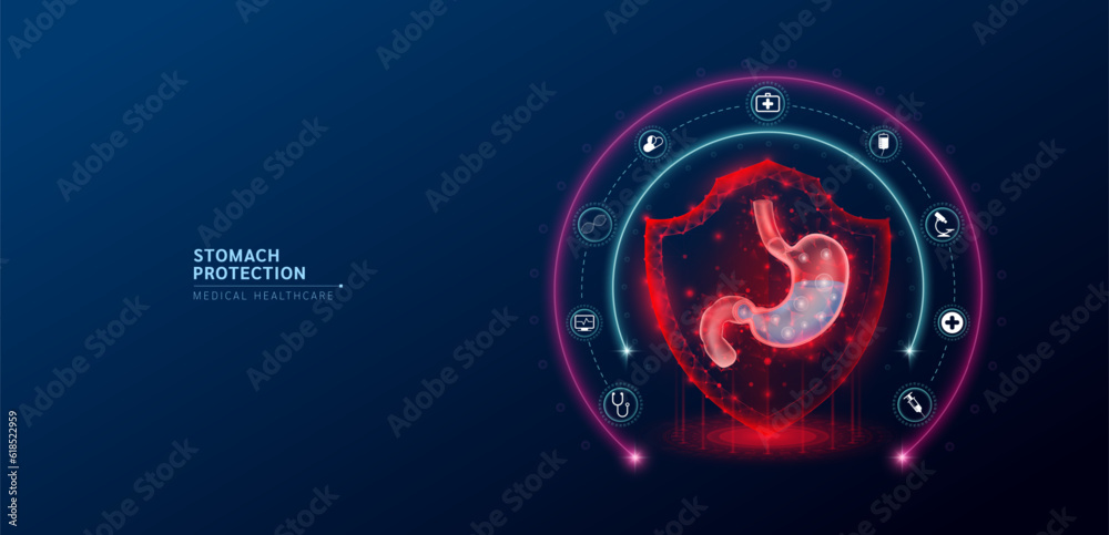 Tummy Protection Animation Stomach medical healthcare. Human stomach anatomy organ translucent low ...