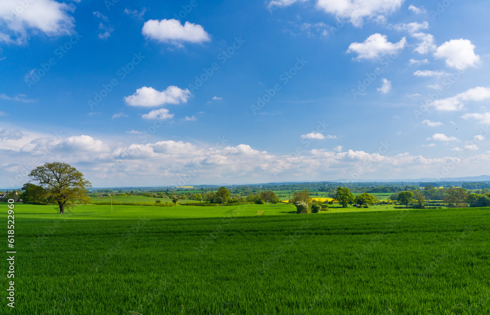 Wide view across grassland and meadows from Welsh Frankton in Shropshire