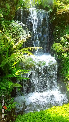 waterfall in the forest