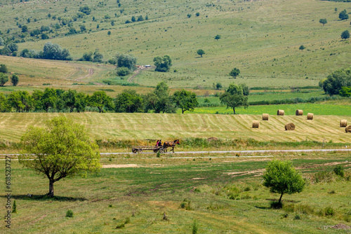 A horse carriage in the landscape of viscri