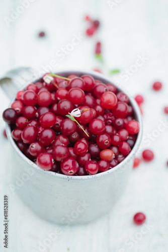 cranberry in vintage metal cup on light background