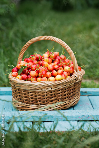 A full basket of delicious cherries