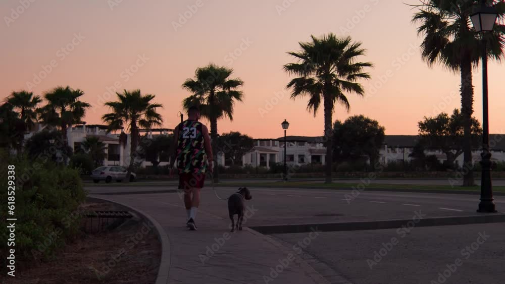 Cinematic shot of a handsome man and his curious happy AmStaff dog walking and having fun together outdoors during a beautiful summer sunset. Concept of a friendship, happiness, love for animals, pet Cinematic shot of a handsome man and his curious happy AmStaff dog walking and having fun together outdoors during a beautiful summer sunset. Concept of a friendship, happiness, love for animals, pet