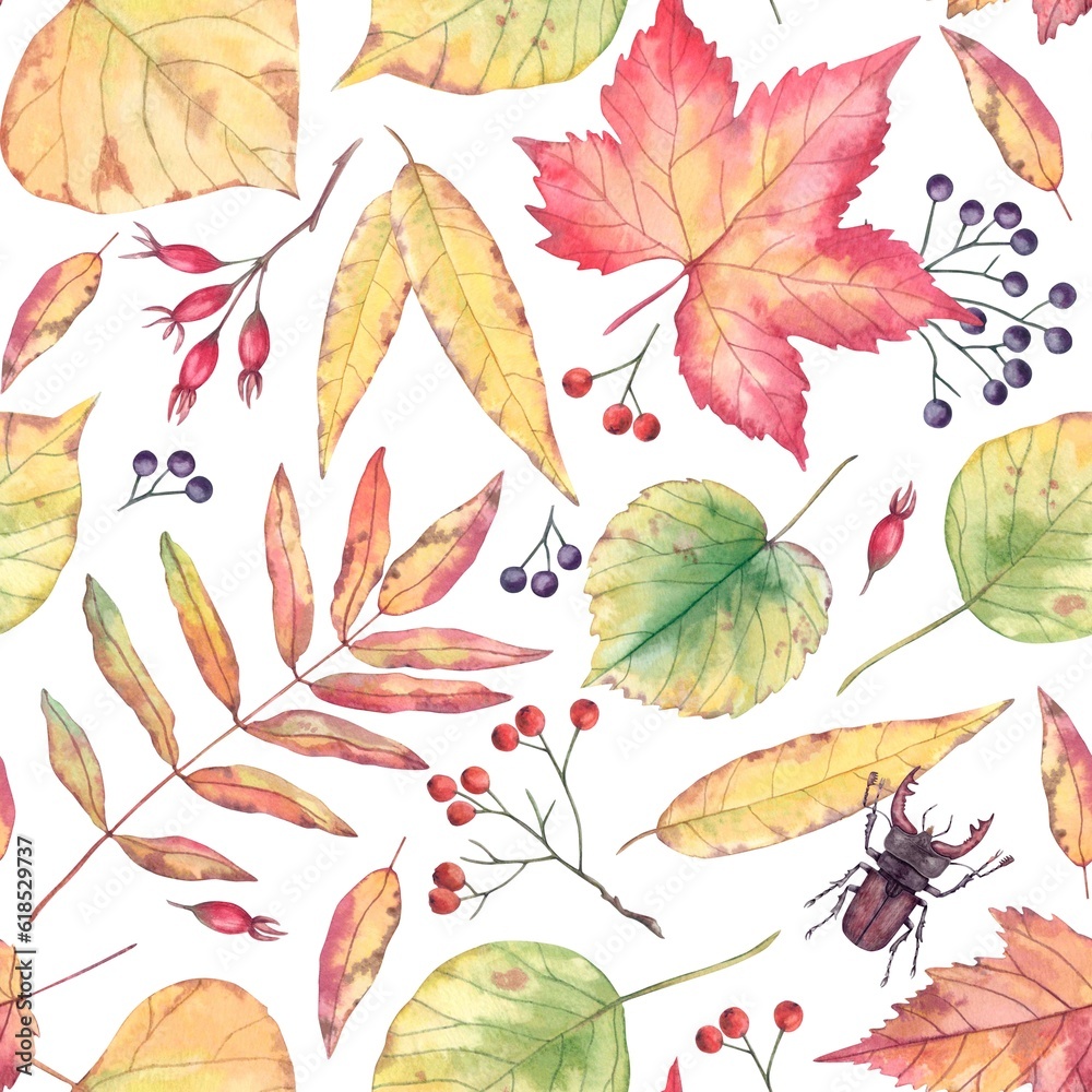 Autumn leaves seamless background. Bright leaves of different shapes and sizes of yellow and red, rowan berries and rose hips, insect deer beetle. Painted in watercolor on a white background. 