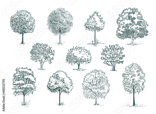 sketch trees and bushes set vector illustration
