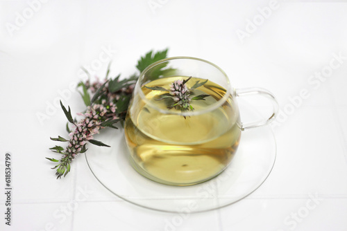 Leonurus cardiaca, known as motherwort is an herbaceous perennial plant.Medicinal plant. Motherwort