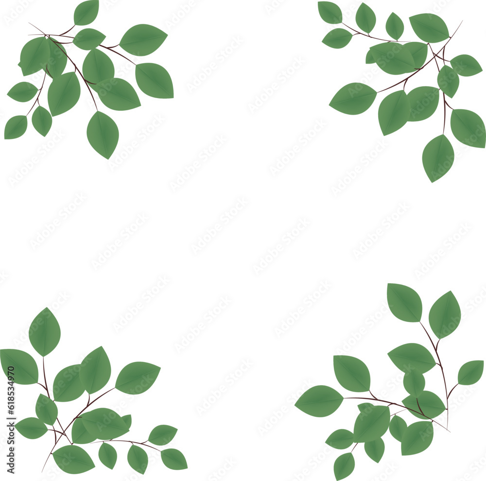 Realistic green leaves on branches, vector