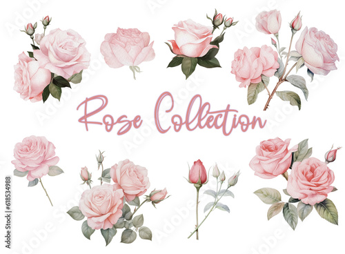 Fototapeta Naklejka Na Ścianę i Meble -  Set of floral clipart illustration. Flower generative watercolor pink rose floral arrangement wedding concept for poster, invitation. Flower arrangements for journal, planner, card design.