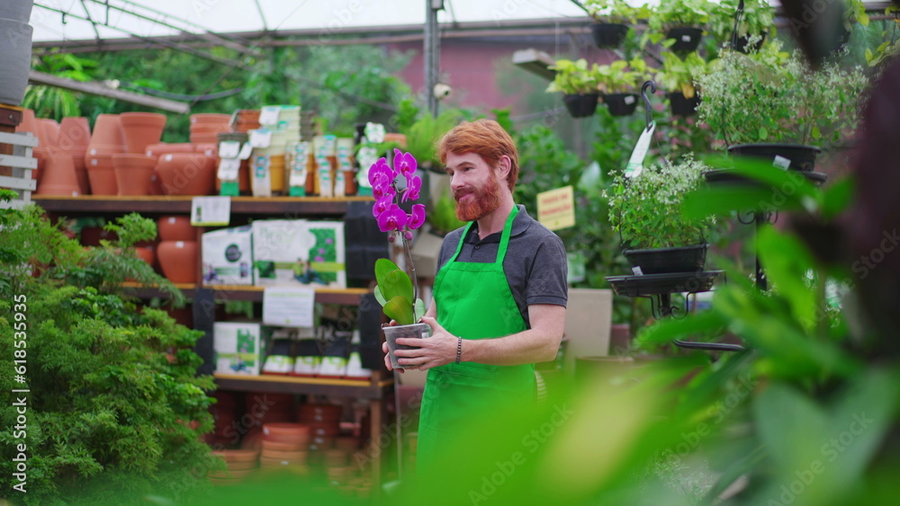 Candid Cheerful Redhead Male Employee Holding Flower in Horticulture Shop. Young Man in Green Apron at Local Store Candid Cheerful Redhead Male Employee Holding Flower in Horticulture Shop. Young Man in Green Apron at Local Store