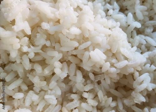 A pile of traditional South Indian food cooked white rice isolated closeup top macro view.