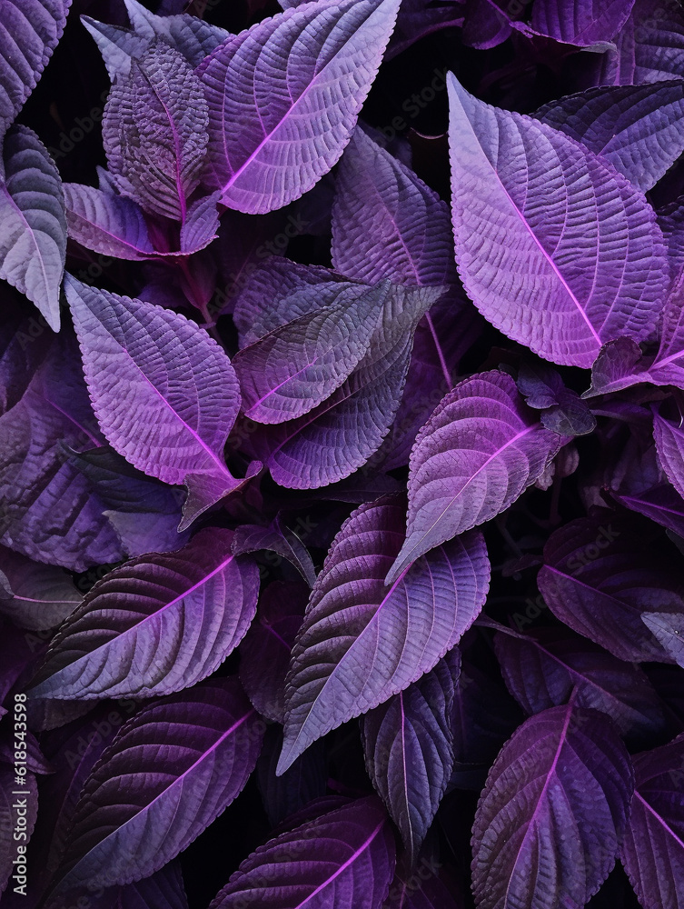 a close up of purple leaves with dark roots, Generative Ai