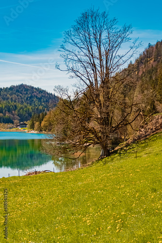Fototapeta Naklejka Na Ścianę i Meble -  Alpine summer view with reflections at Lake Hintersteiner See, Scheffau, Mount Wilder Kaiser, Tyrol, Austria