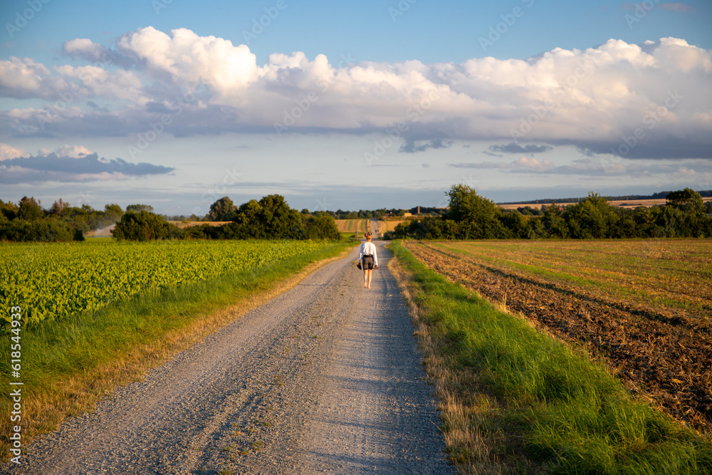 Naklejka premium Field way with a jogger in the distance