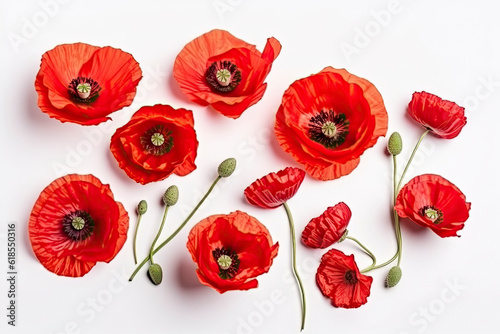 Three red poppy flowers isolated on white background  studio shot.AI generated