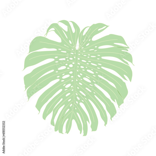 Monstera deliciosa plant leaf botanical illustration. Simple minimalism style on white background. Vector
