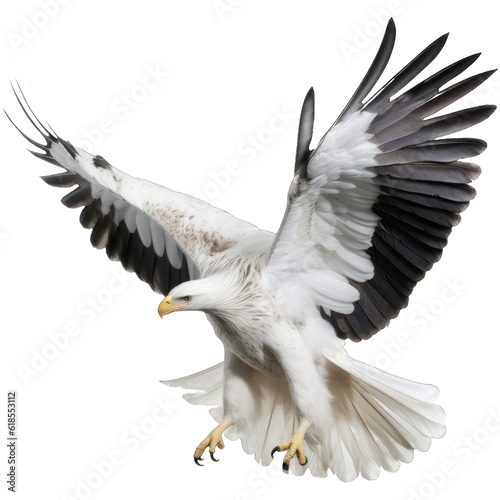 flying eagle bird, isolated on transparent background