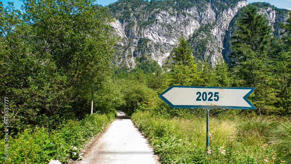 Signposts the direct way to 2025 Signposts the direct way to 2025