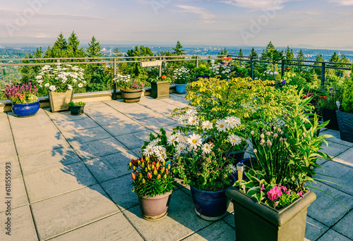 Slika na platnu Flowers in planters on mountaintop, rooftop patio garden with extensive views across valley