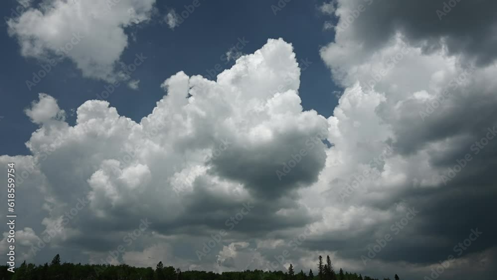 Time lapse of storm clouds building in a blue sky above a treeline of spruce and aspen trees. Time lapse of storm clouds building in a blue sky above a treeline of spruce and aspen trees.