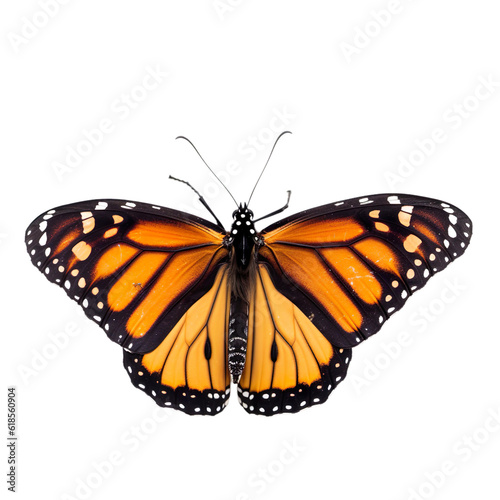 Front view of Monarch butterfly isolated on white transparent background